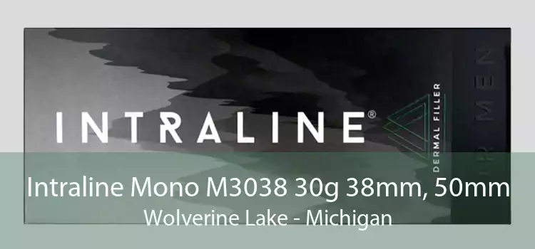 Intraline Mono M3038 30g 38mm, 50mm Wolverine Lake - Michigan