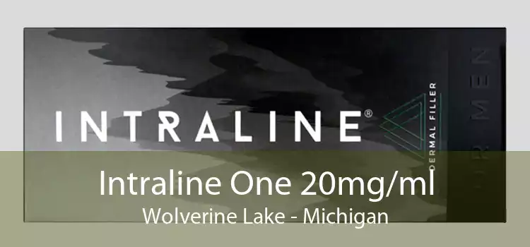 Intraline One 20mg/ml Wolverine Lake - Michigan