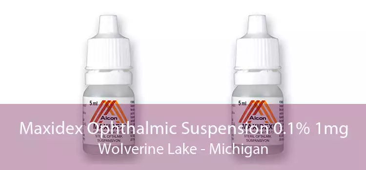 Maxidex Ophthalmic Suspension 0.1% 1mg Wolverine Lake - Michigan