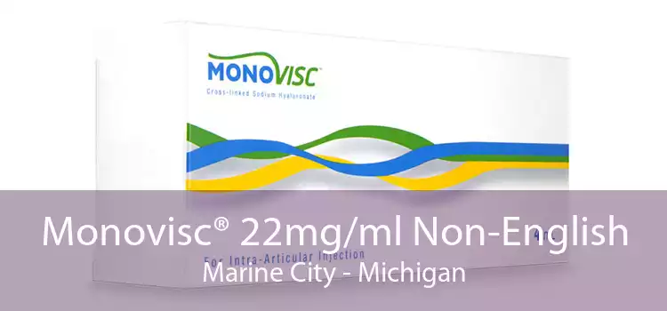Monovisc® 22mg/ml Non-English Marine City - Michigan
