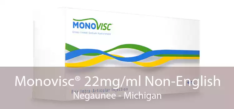 Monovisc® 22mg/ml Non-English Negaunee - Michigan
