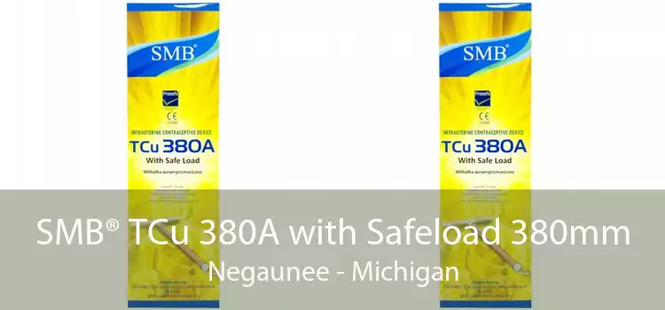SMB® TCu 380A with Safeload 380mm Negaunee - Michigan