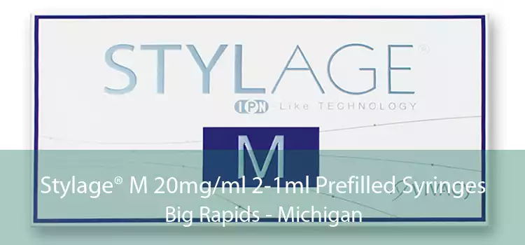 Stylage® M 20mg/ml 2-1ml Prefilled Syringes Big Rapids - Michigan