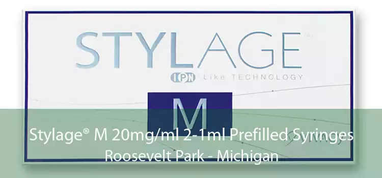 Stylage® M 20mg/ml 2-1ml Prefilled Syringes Roosevelt Park - Michigan