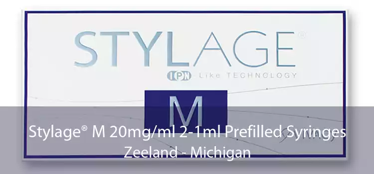 Stylage® M 20mg/ml 2-1ml Prefilled Syringes Zeeland - Michigan