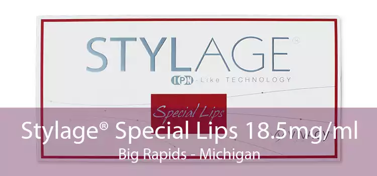 Stylage® Special Lips 18.5mg/ml Big Rapids - Michigan