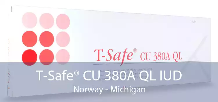 T-Safe® CU 380A QL IUD Norway - Michigan