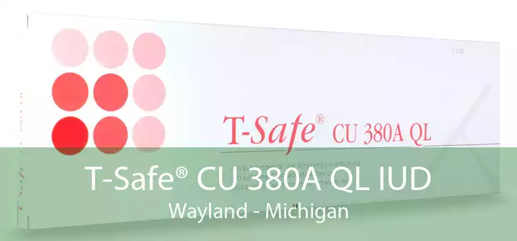 T-Safe® CU 380A QL IUD Wayland - Michigan
