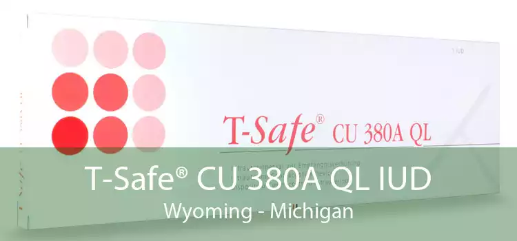 T-Safe® CU 380A QL IUD Wyoming - Michigan