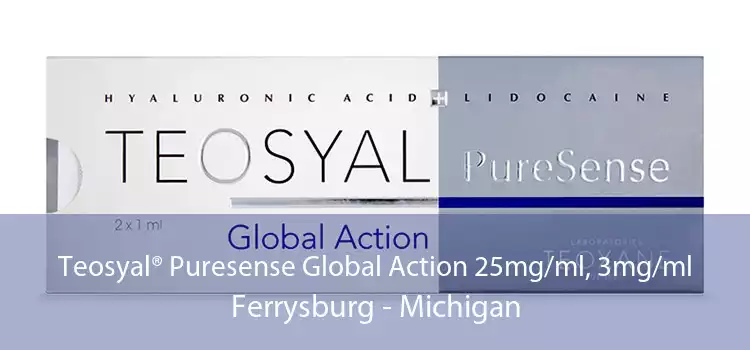 Teosyal® Puresense Global Action 25mg/ml, 3mg/ml Ferrysburg - Michigan