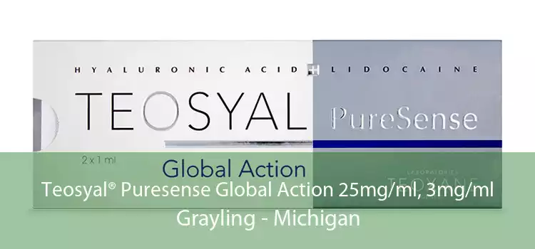 Teosyal® Puresense Global Action 25mg/ml, 3mg/ml Grayling - Michigan