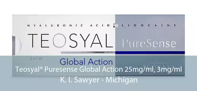 Teosyal® Puresense Global Action 25mg/ml, 3mg/ml K. I. Sawyer - Michigan