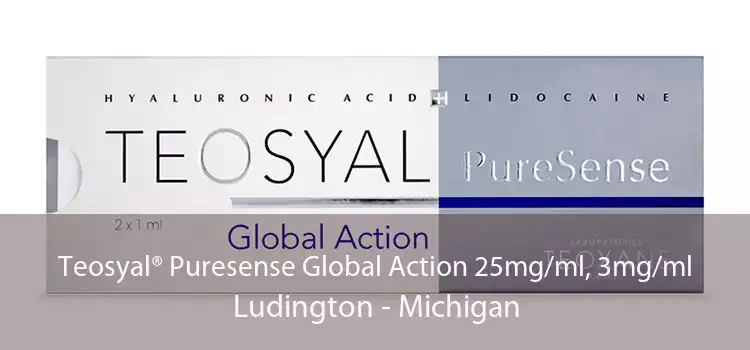 Teosyal® Puresense Global Action 25mg/ml, 3mg/ml Ludington - Michigan