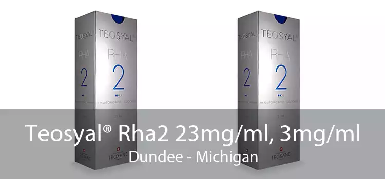 Teosyal® Rha2 23mg/ml, 3mg/ml Dundee - Michigan