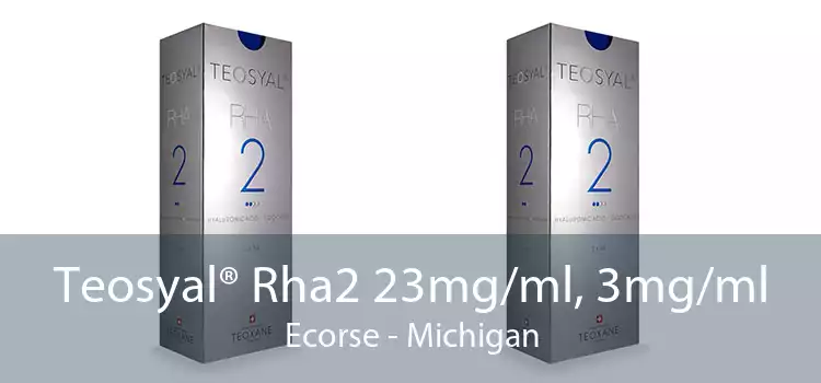 Teosyal® Rha2 23mg/ml, 3mg/ml Ecorse - Michigan