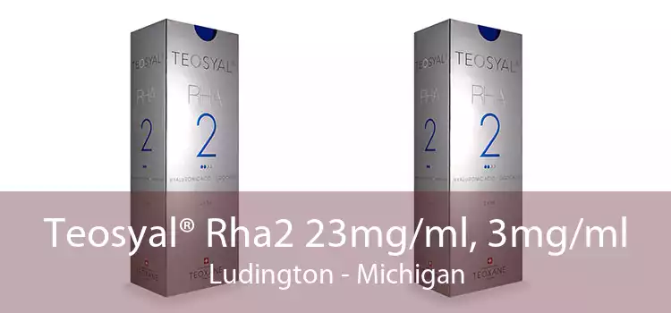 Teosyal® Rha2 23mg/ml, 3mg/ml Ludington - Michigan