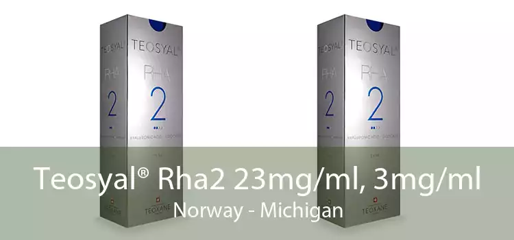 Teosyal® Rha2 23mg/ml, 3mg/ml Norway - Michigan