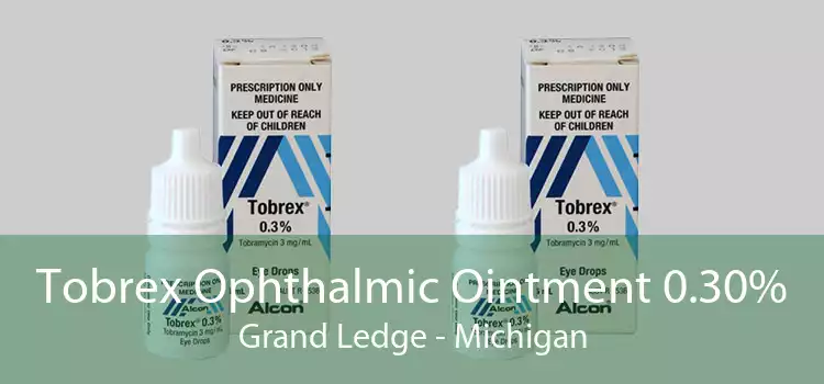 Tobrex Ophthalmic Ointment 0.30% Grand Ledge - Michigan