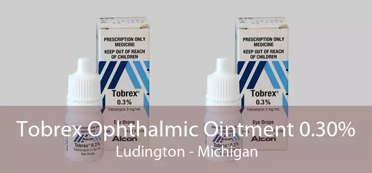Tobrex Ophthalmic Ointment 0.30% Ludington - Michigan