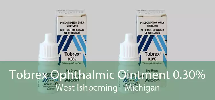 Tobrex Ophthalmic Ointment 0.30% West Ishpeming - Michigan