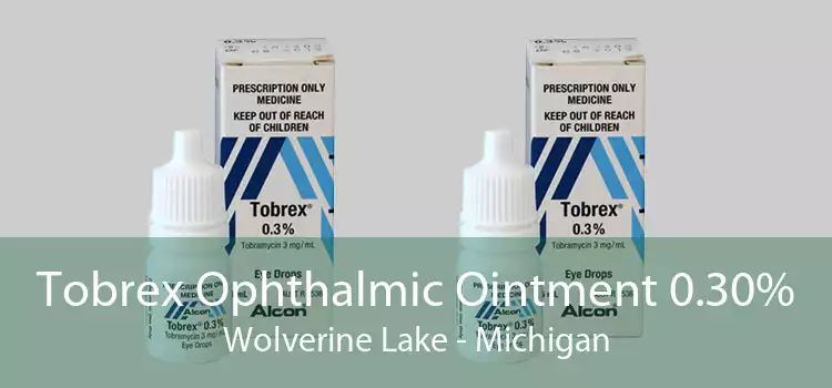 Tobrex Ophthalmic Ointment 0.30% Wolverine Lake - Michigan
